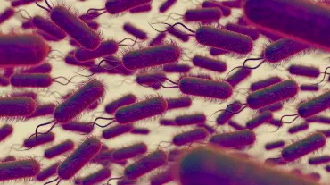 Comment déboucher une canalisations par des enzymes naturelles